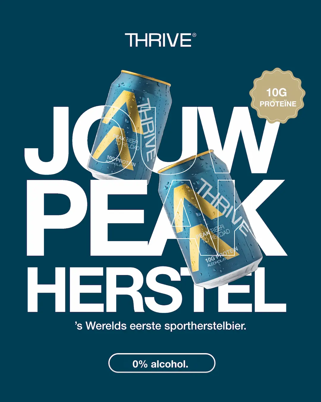 Professional ad creative example 4